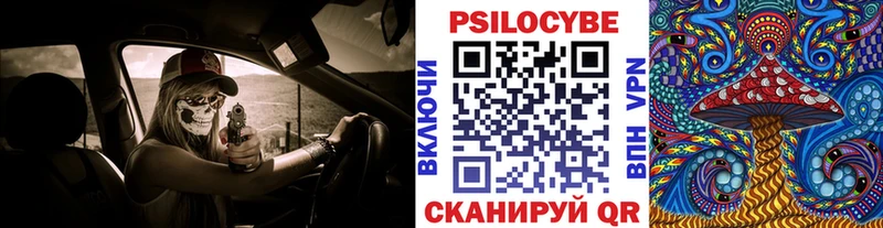 Галлюциногенные грибы мухоморы  закладка  Бавлы 